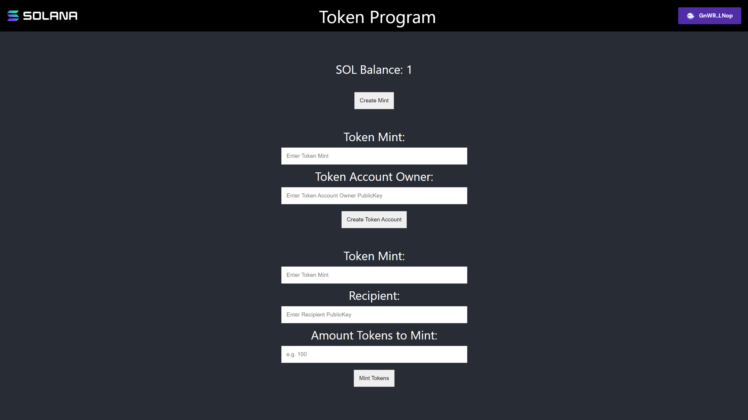 Token Program Challenge Frontend